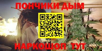 стафф Моздок