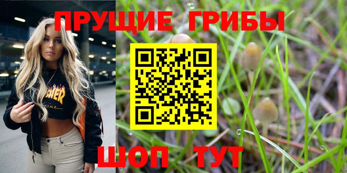 Псилоцибиновые грибы мицелий Уварово